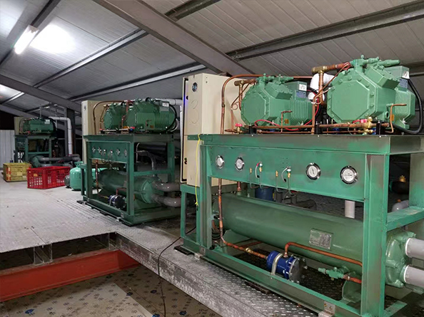 臺灣菌鮑菇培育多功能冷庫